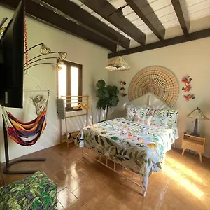  Apartamento The Garden Apartment, The Willow Apartment, & The Tropical At Casa Of Essence In Old Puerto Rico